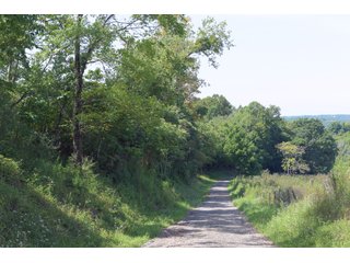 Tract 26 - Timberland & Farmland in Noble County, OH - LAND AUCTION - 12,200+/- ACRES OFFERED IN 65 TRACTS IN NOBLE COUNTY, OHIO